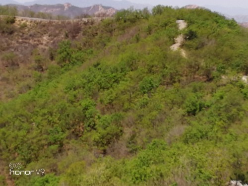 绥中三山妙峰森林公园旅行图片 1