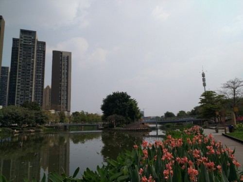 陈村公园旅行图片 1