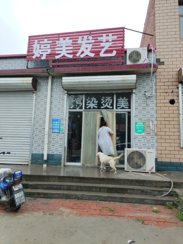 婷美发艺