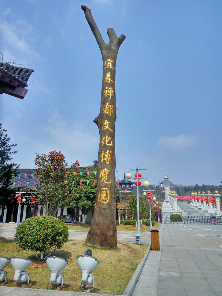 崇圣禅寺实景照片
