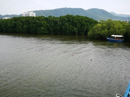 临春河公园旅行图片 3