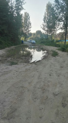 龙泉湿地公园旅行图片 3