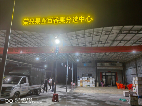 荣兴果业百香果分选中心