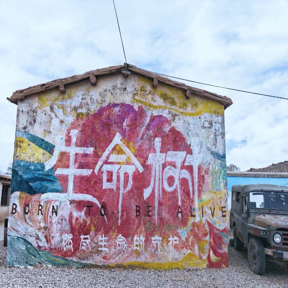 生命树取景点景点图片
