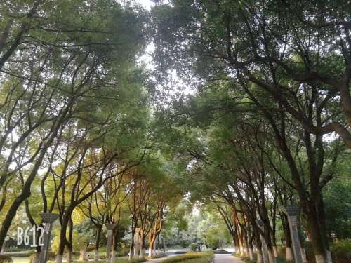长安广场旅行图片 2