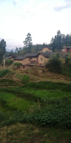 杨坪河坎生态区旅行图片 3
