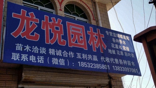 龙悦园林