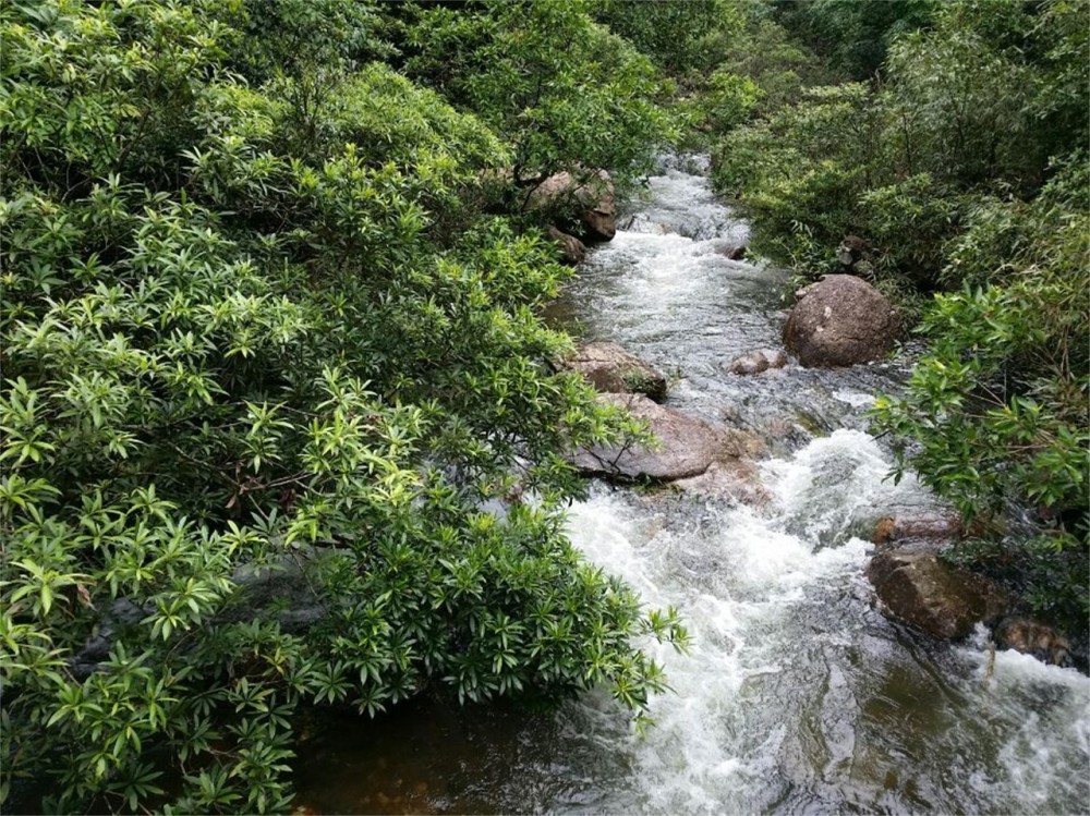 八寨沟旅游景区景点图片