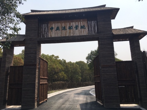 申亚生态林旅行图片 3