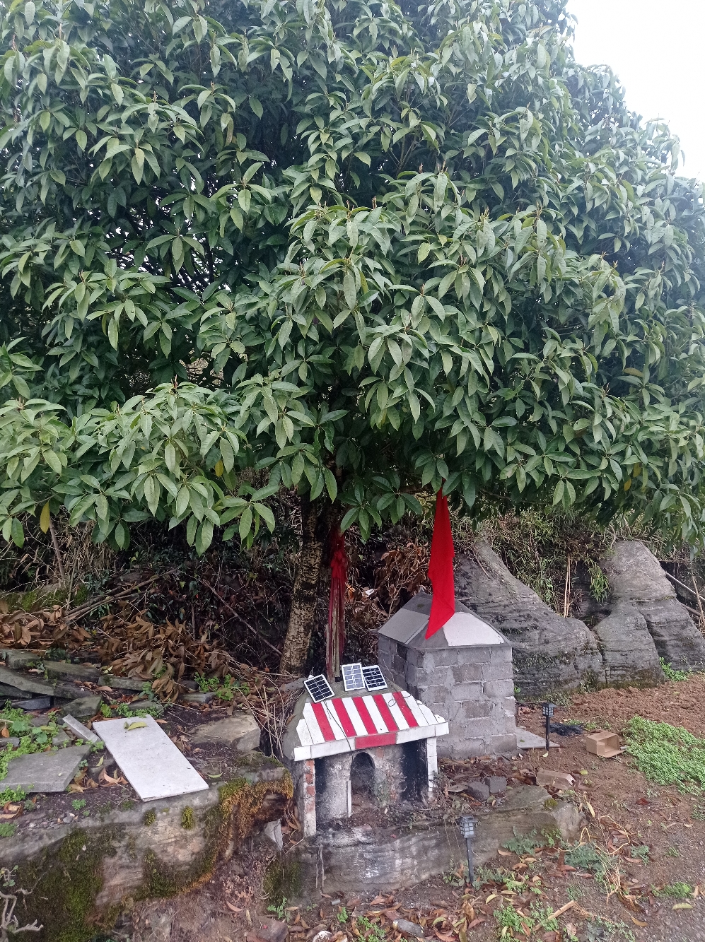 苏家山土地庙实景照片
