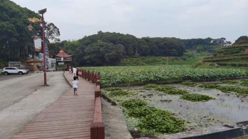 鲤鱼岗森林公园旅行图片
