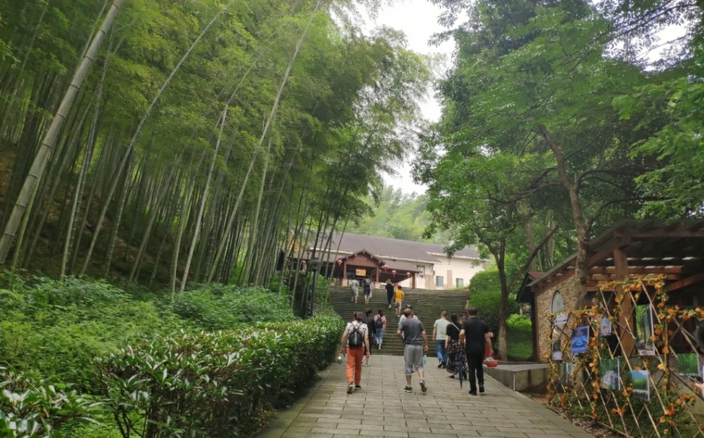 沿街竹隐寺实景照片