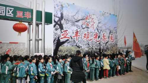 亚丰观光梨园旅行图片 1