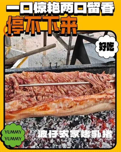波仔农家烤蒸乳猪
