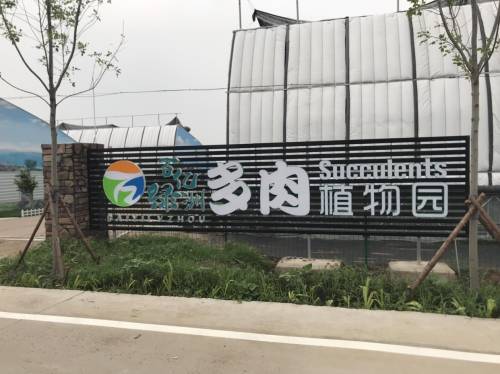 青岛百亿绿洲多肉植物园旅行图片 1