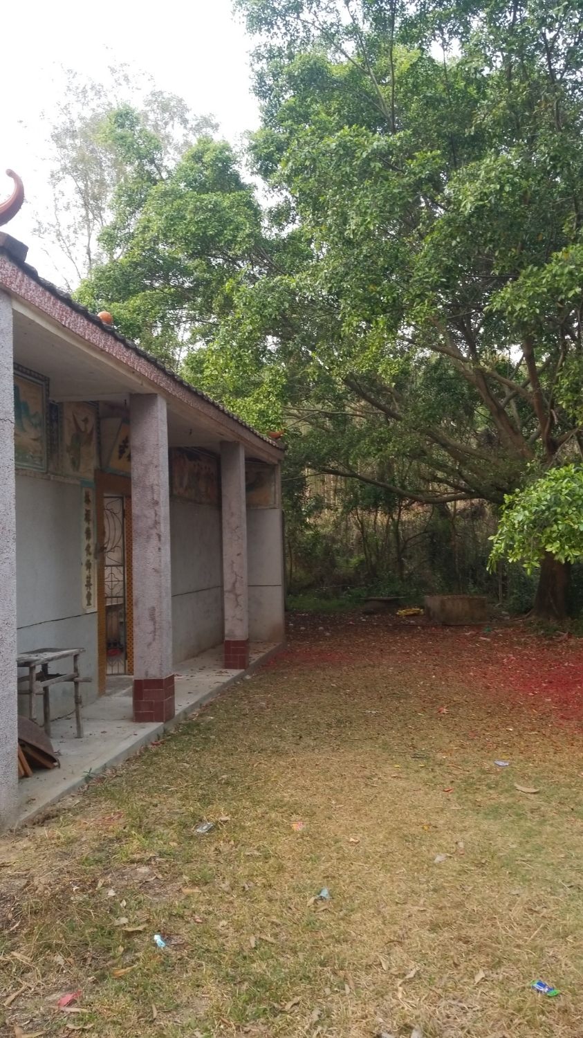 福林寺实景照片
