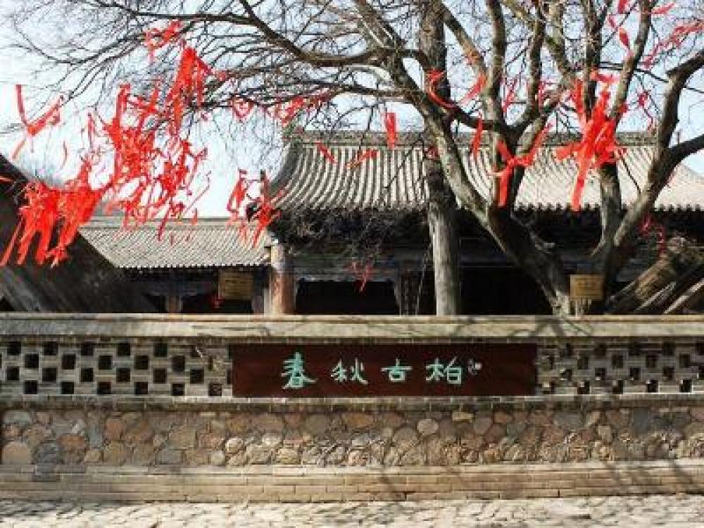 南郭寺景点图片