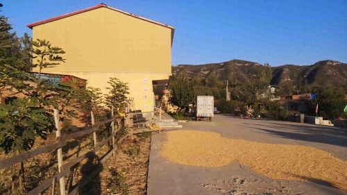 DL四季庄园