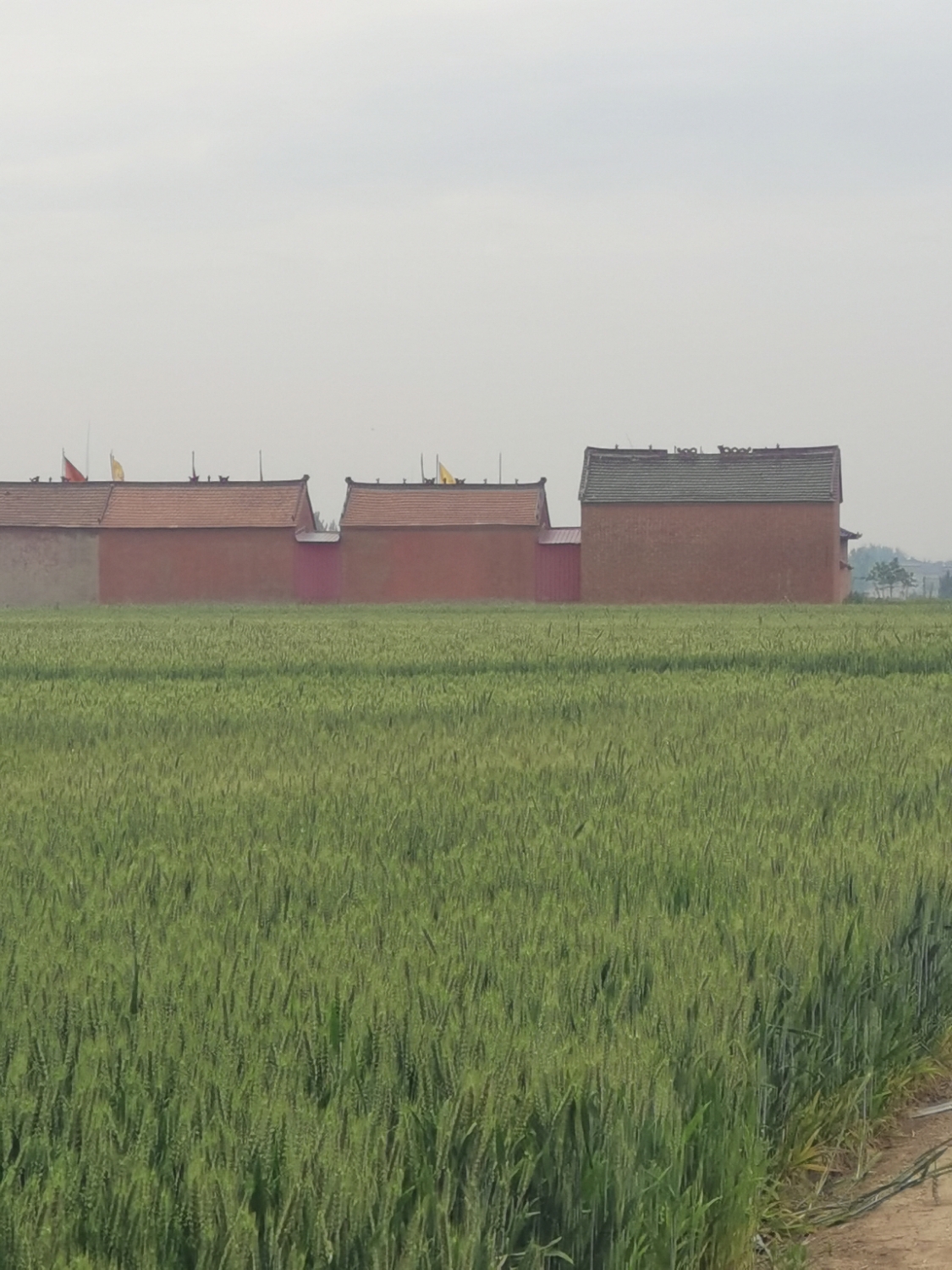 云台寺实景照片