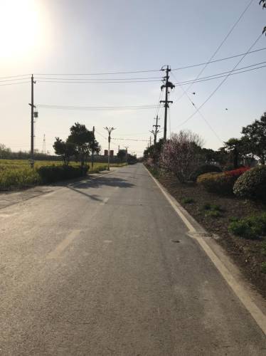 泾口湿地风情园旅行图片 2