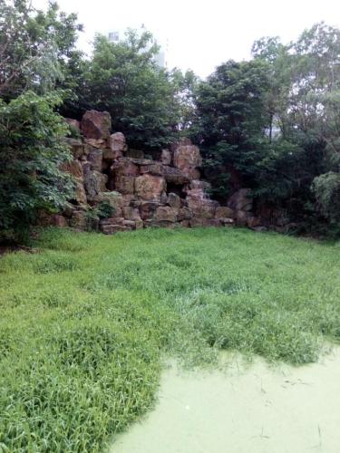中国铁建·国际城湿地公园旅行图片 2