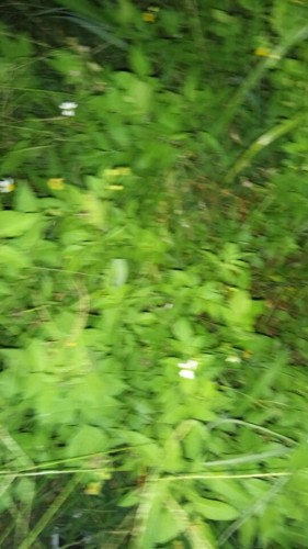 龙山消防主题公园旅行图片 1
