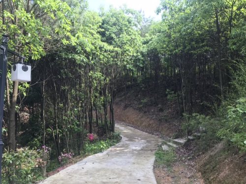 盘龙谷生态旅游区旅行图片 2