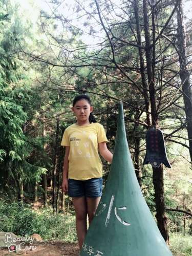 晋江源头东溪湿地森林公园旅行图片 2