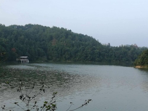 江西斗晏湖旅游度假区旅行图片 2