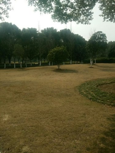 长江公园旅行图片 3