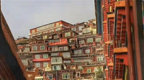 喇嘛经堂(不对外开放)旅行图片 3