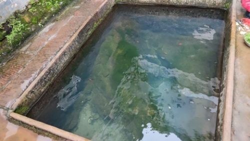 犀牛井旅行图片 1
