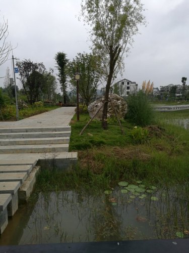 西秀区杨武平田荷花池旅行图片 2