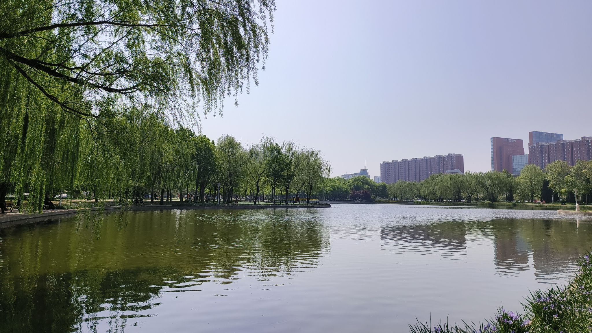 泰丰公园景观湖