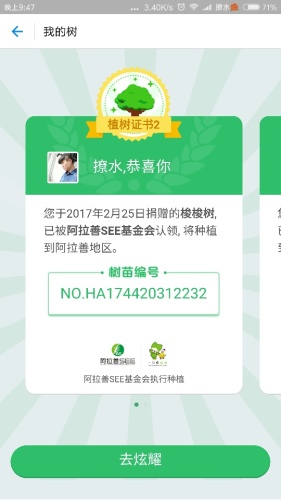蚂蚁森林1号林·梭梭旅行图片 1