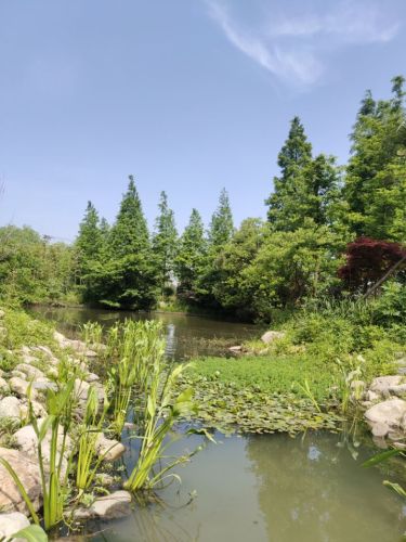 田园式生态公园旅行图片 2