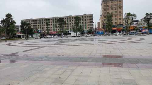 金山公园旅行图片 2