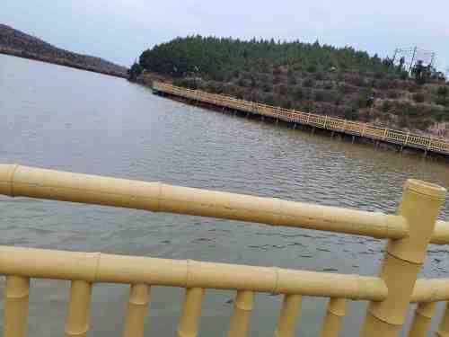 汪家乡村森林公园旅行图片 1