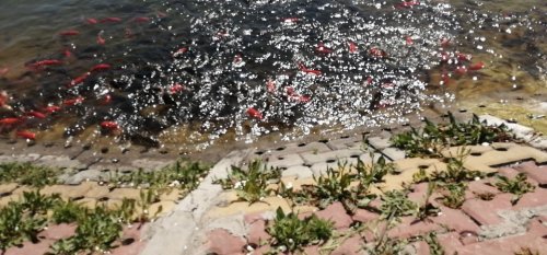 醴泉公园旅行图片 2