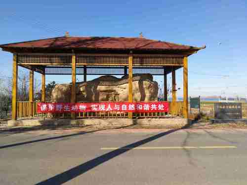 下伍旗古城墙遗址旅行图片 1