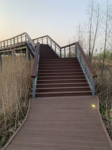 龍河湾公园旅行图片 3