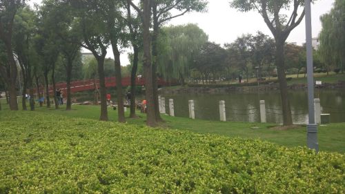 新成公园旅行图片 1