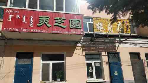 灵芝园旅行图片 1