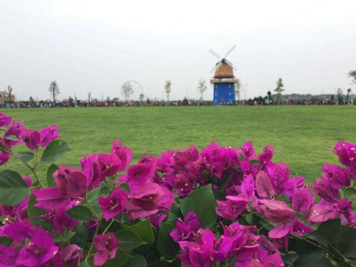 五彩大地观光休闲旅游区旅行图片 1