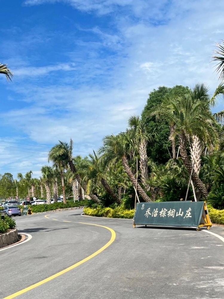 乔治棕榈湾景点图片
