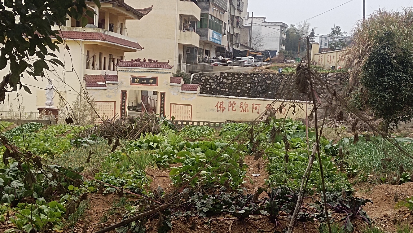 灵山古寺实景照片
