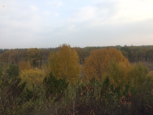 鱼儿湾公园旅行图片 2