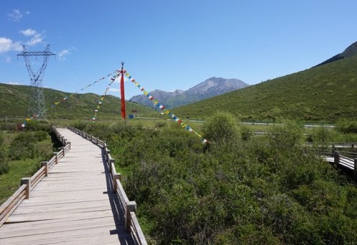 岷江源国家湿地公园旅行图片 2