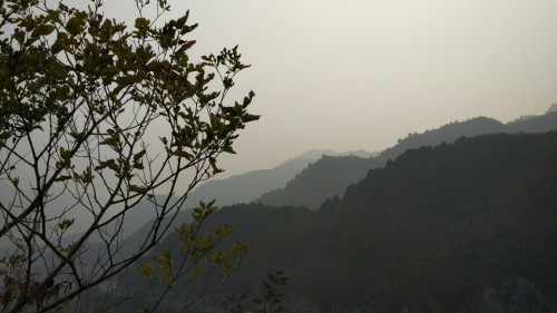 蒲洼自然保护区旅行图片 1