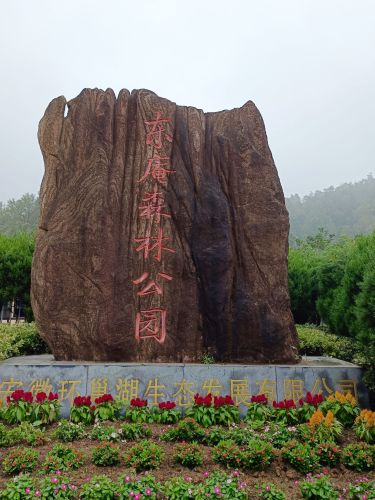 东庵森林公园-笆斗山